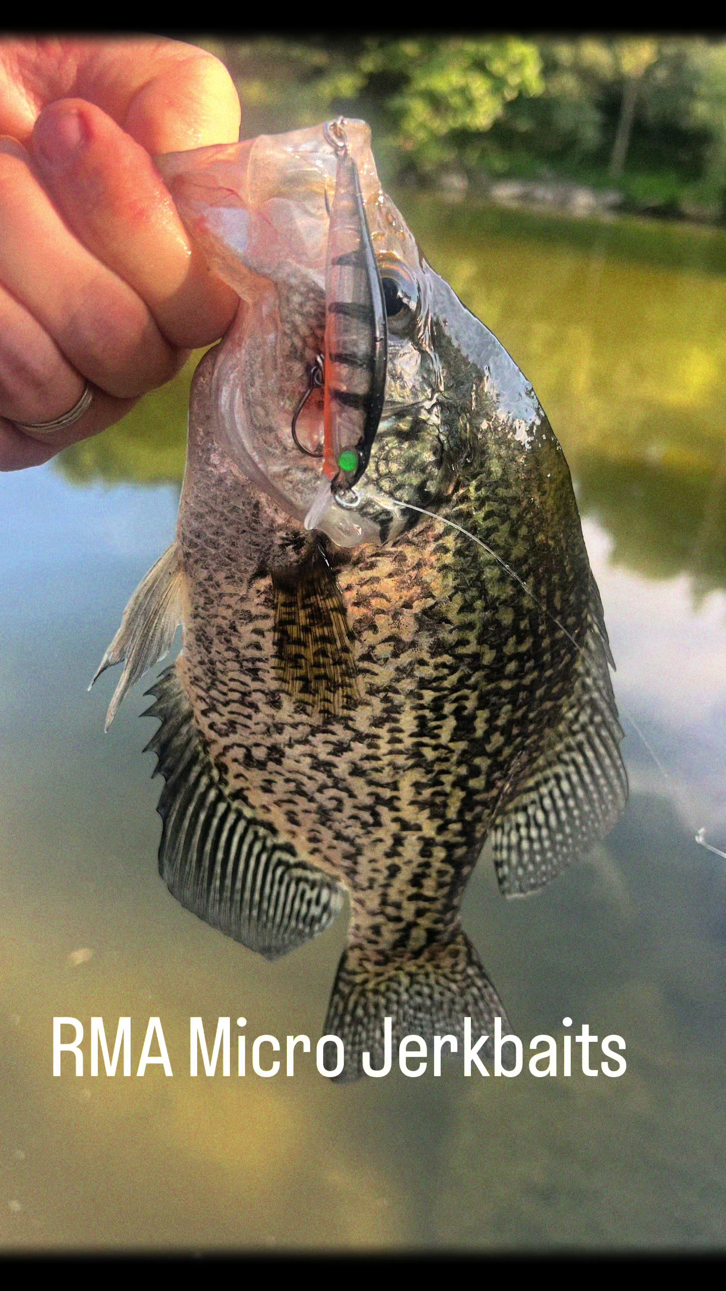 @ReelMichiganAnglers