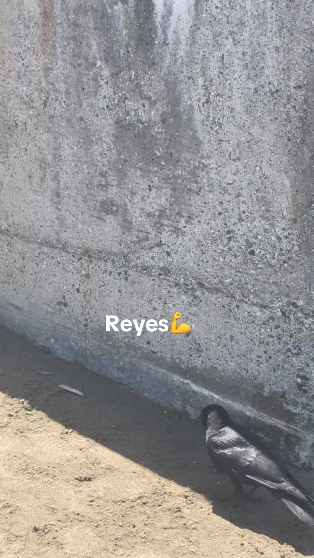 @REYES 💪