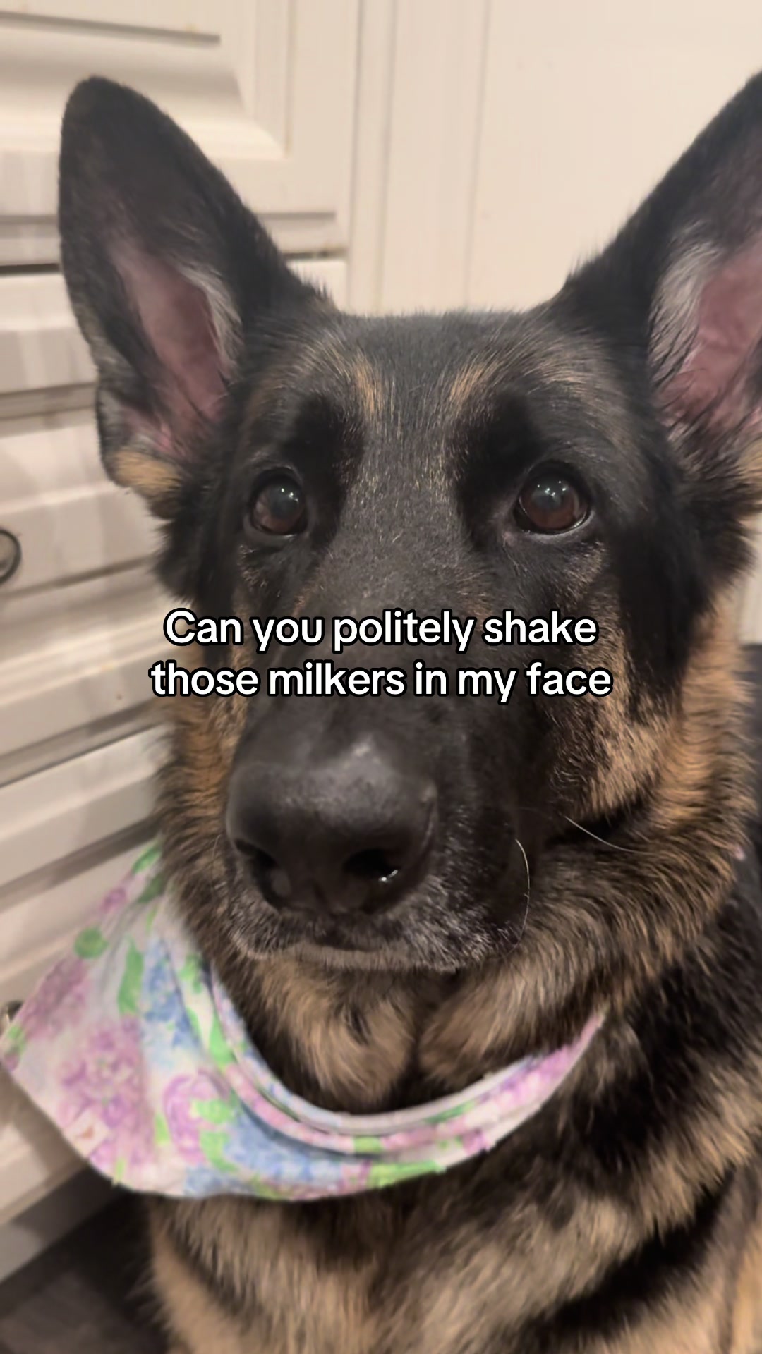 @Bhris