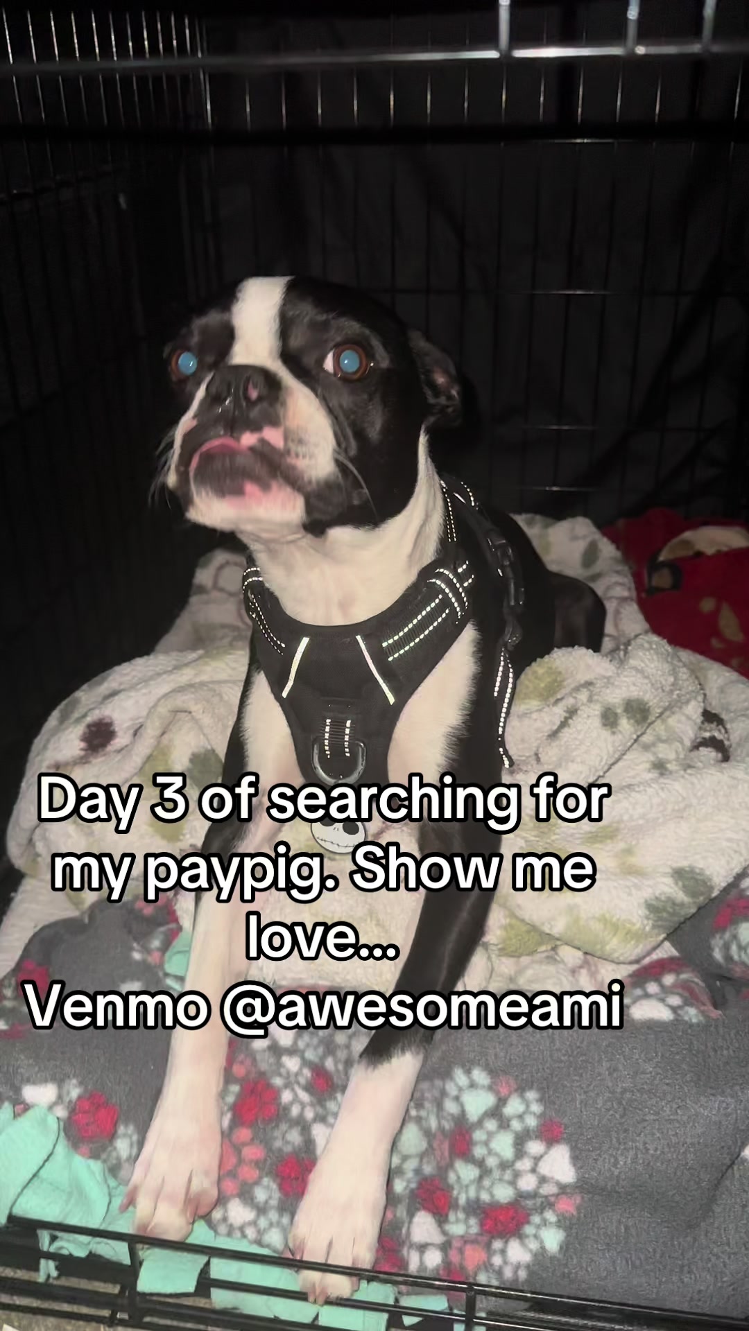 @Somethingnicelikerice