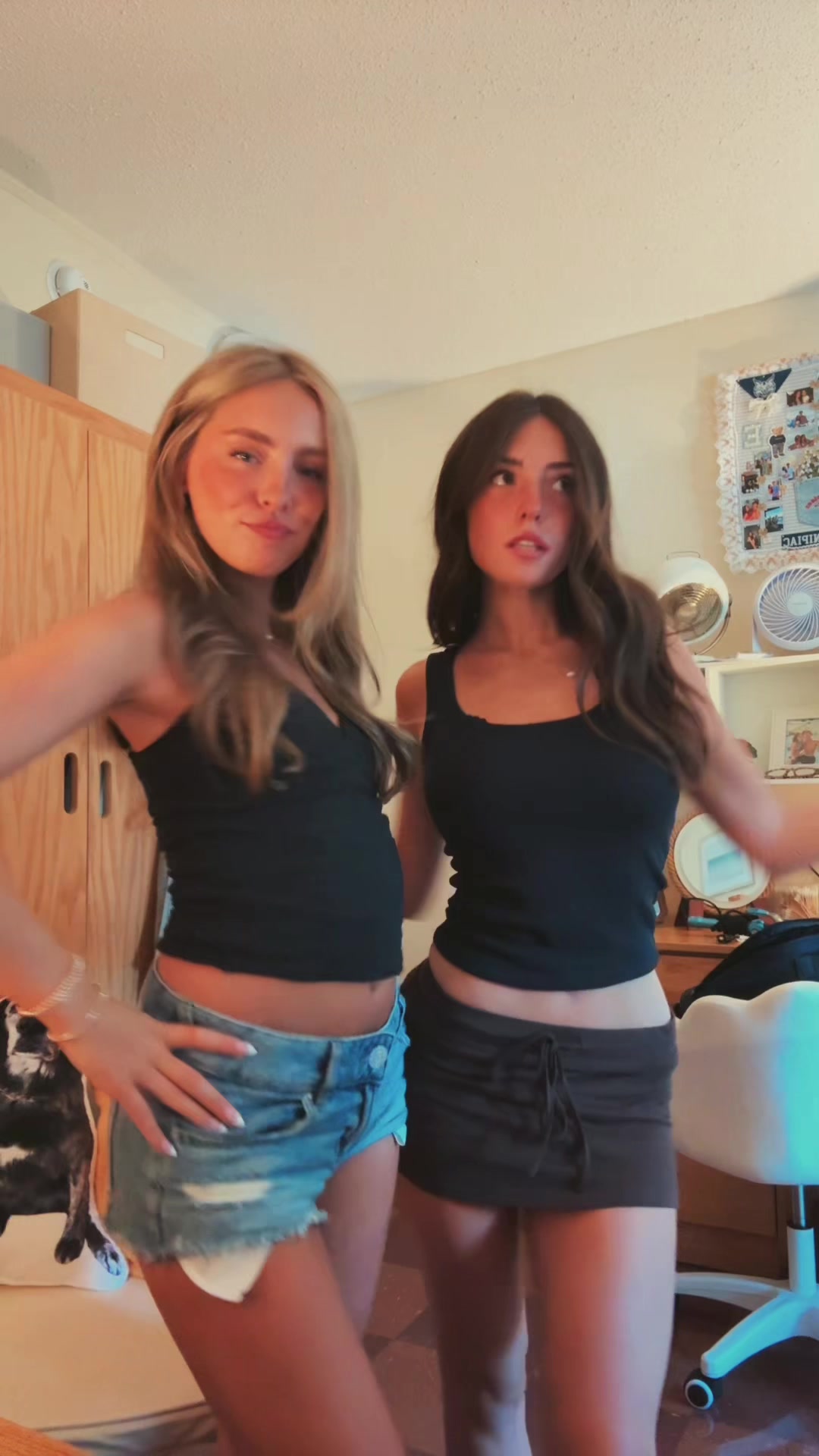 @ellieperrotti