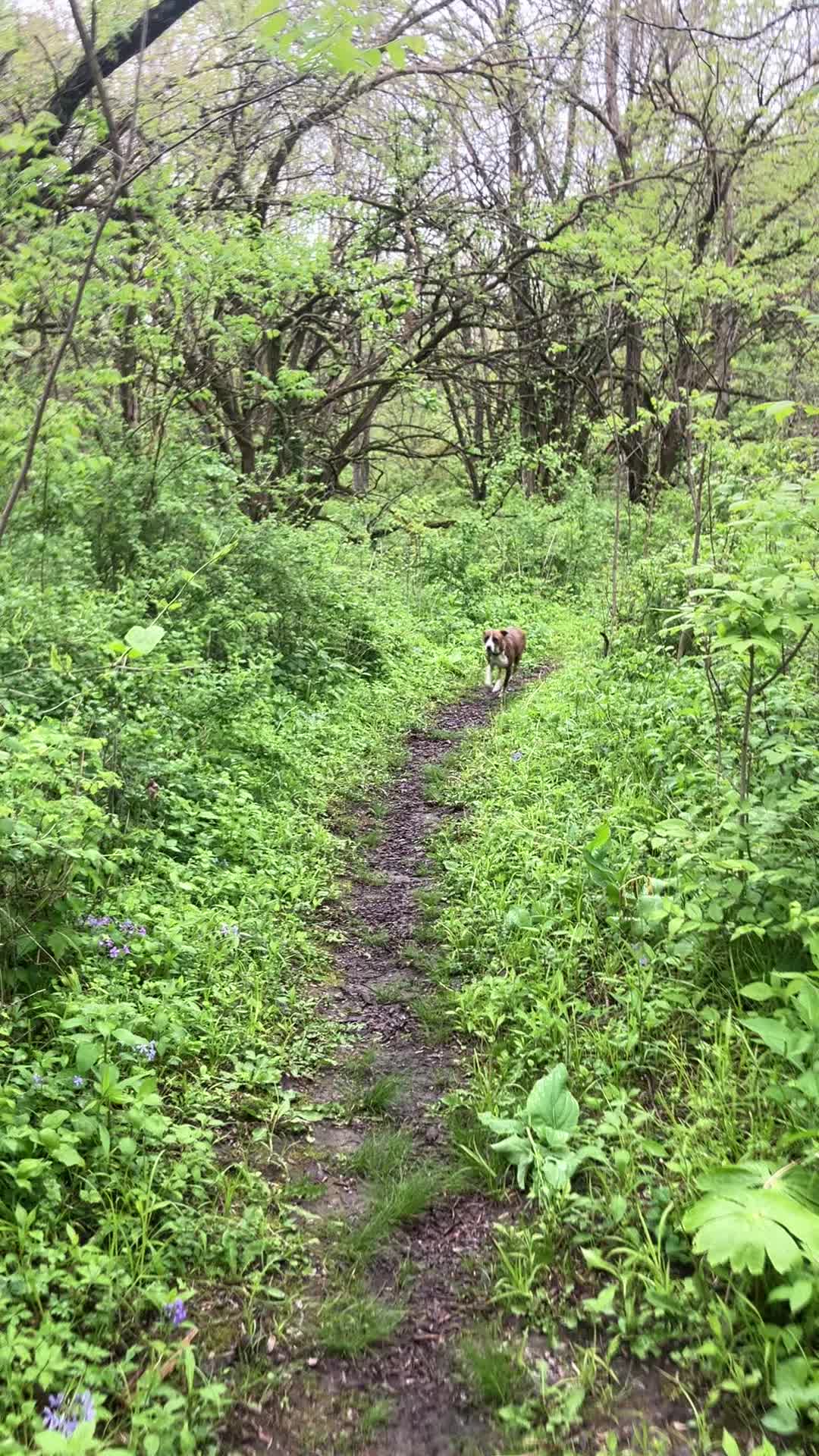 @Hikingwithstanley