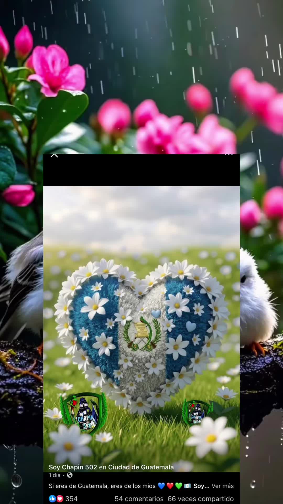 @🕊️🦅Eulalia Pascual