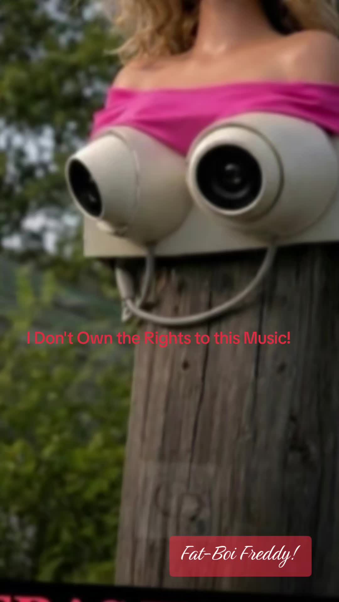 @Fat-Boi Freddy