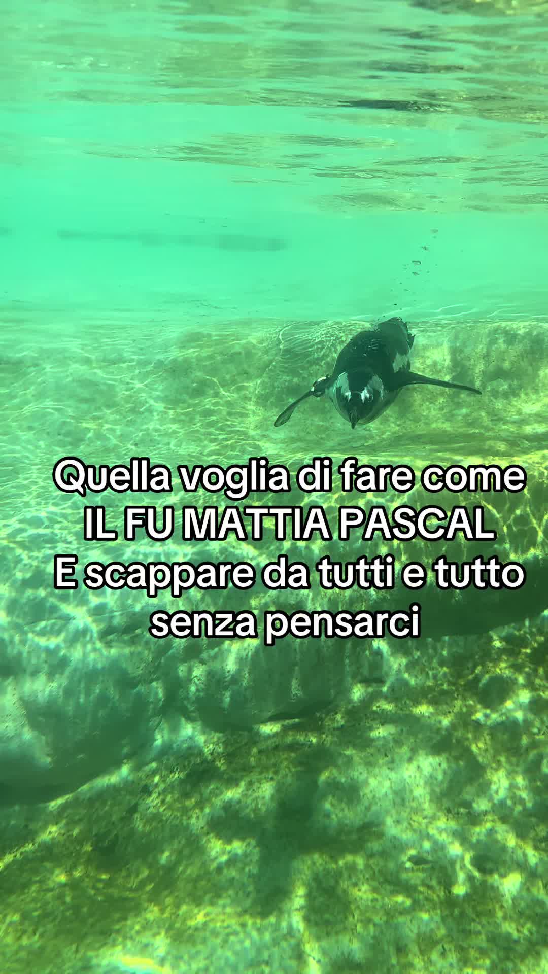 @lavirgy001