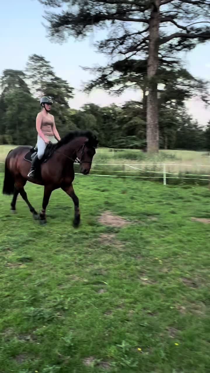 @MG.eq🇬🇧🐴