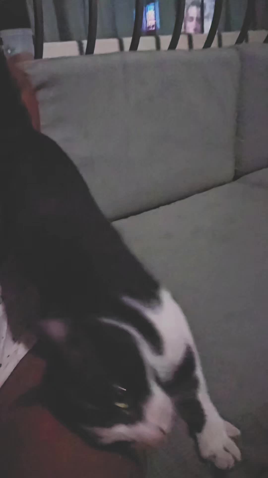 @❤chicca.260❤