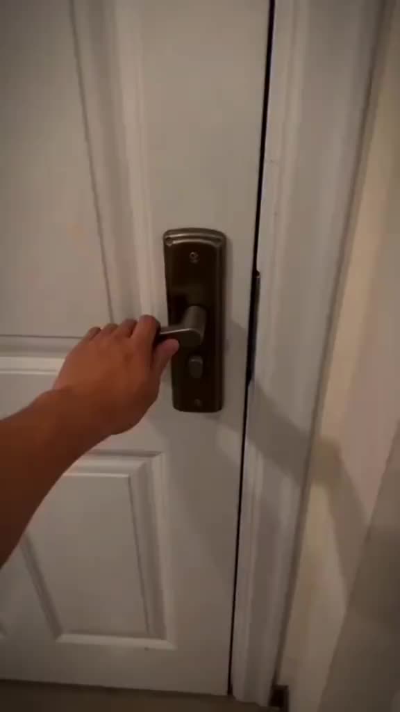 @Bull1Ch1b1