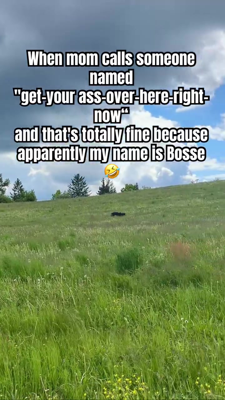 @MissBosse