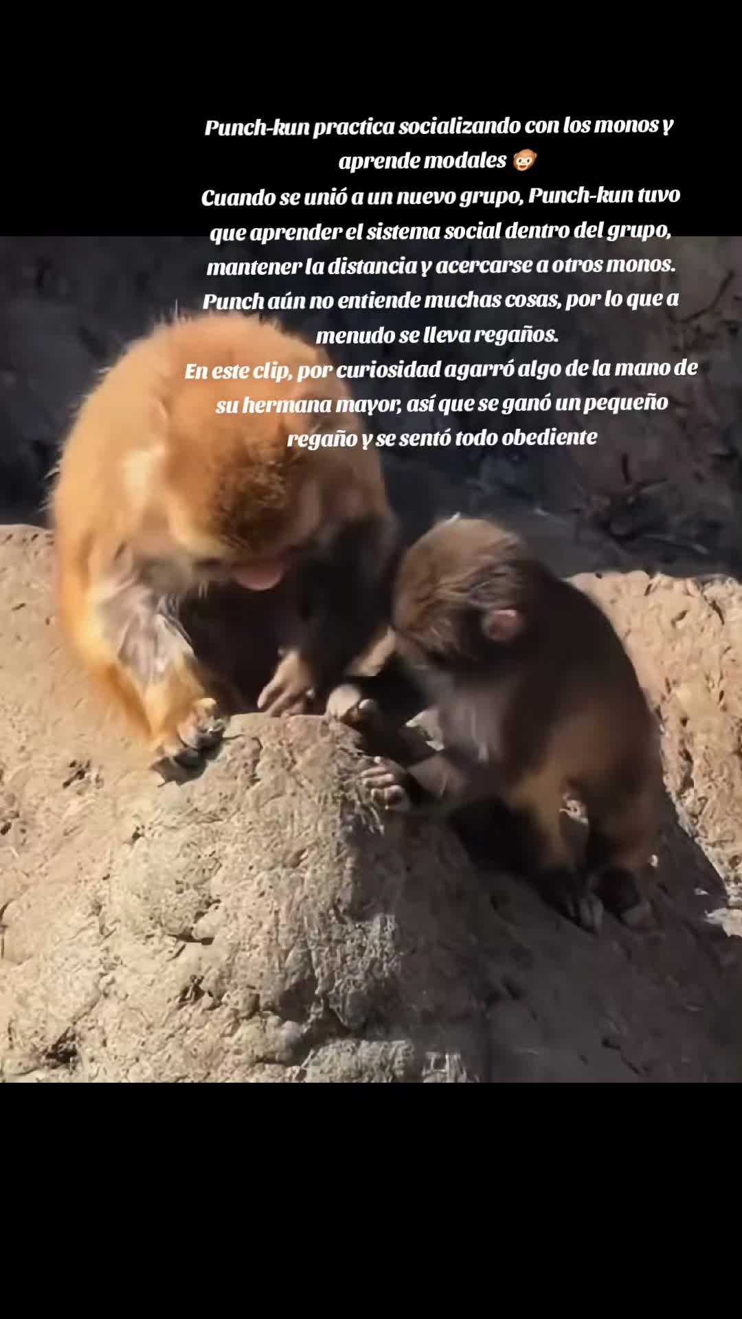 @Roxana Nunez