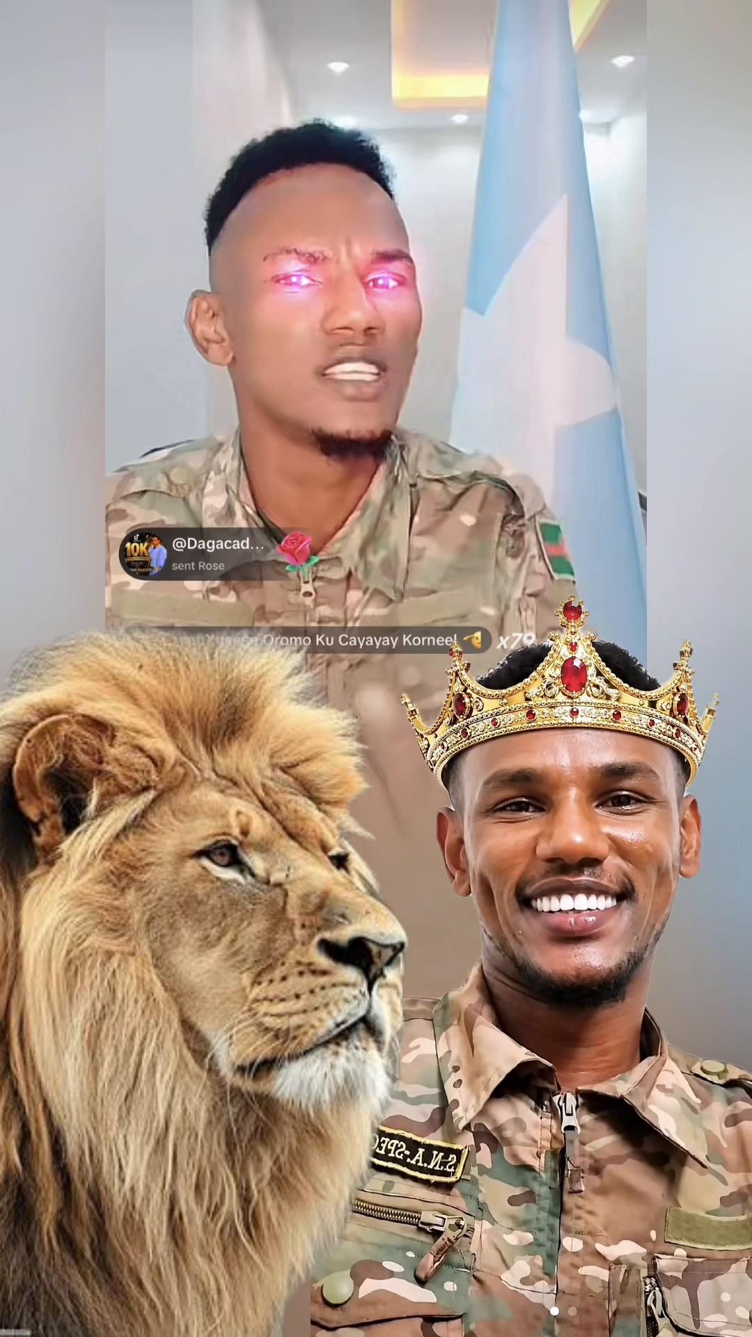 @💫live walba jooge✨🇸🇴🫶🏽