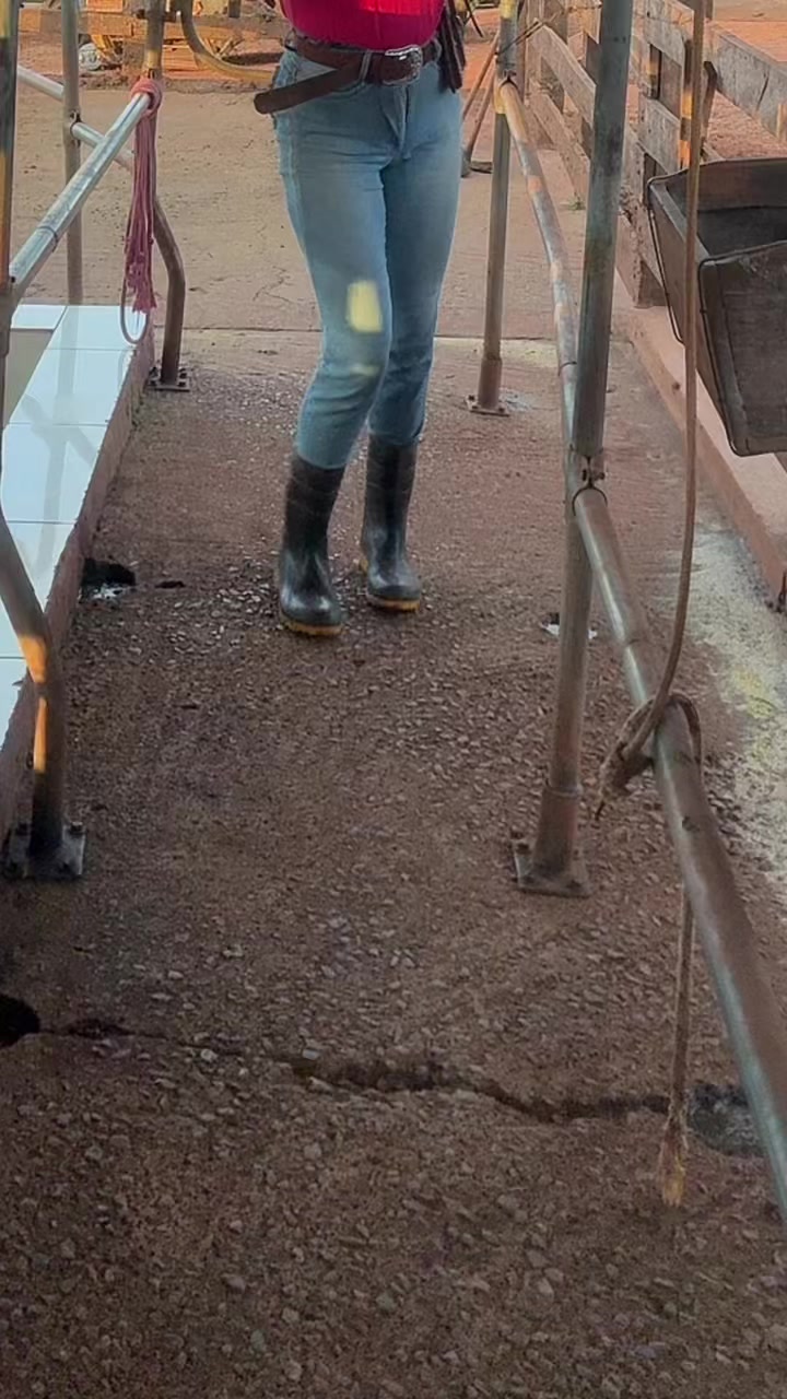@Mariana_Fazendeira