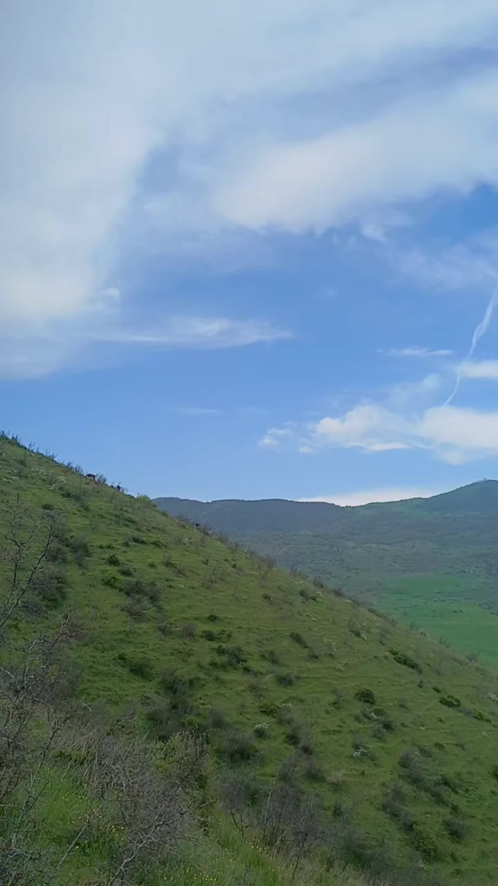 @Sənan Nəsibov
