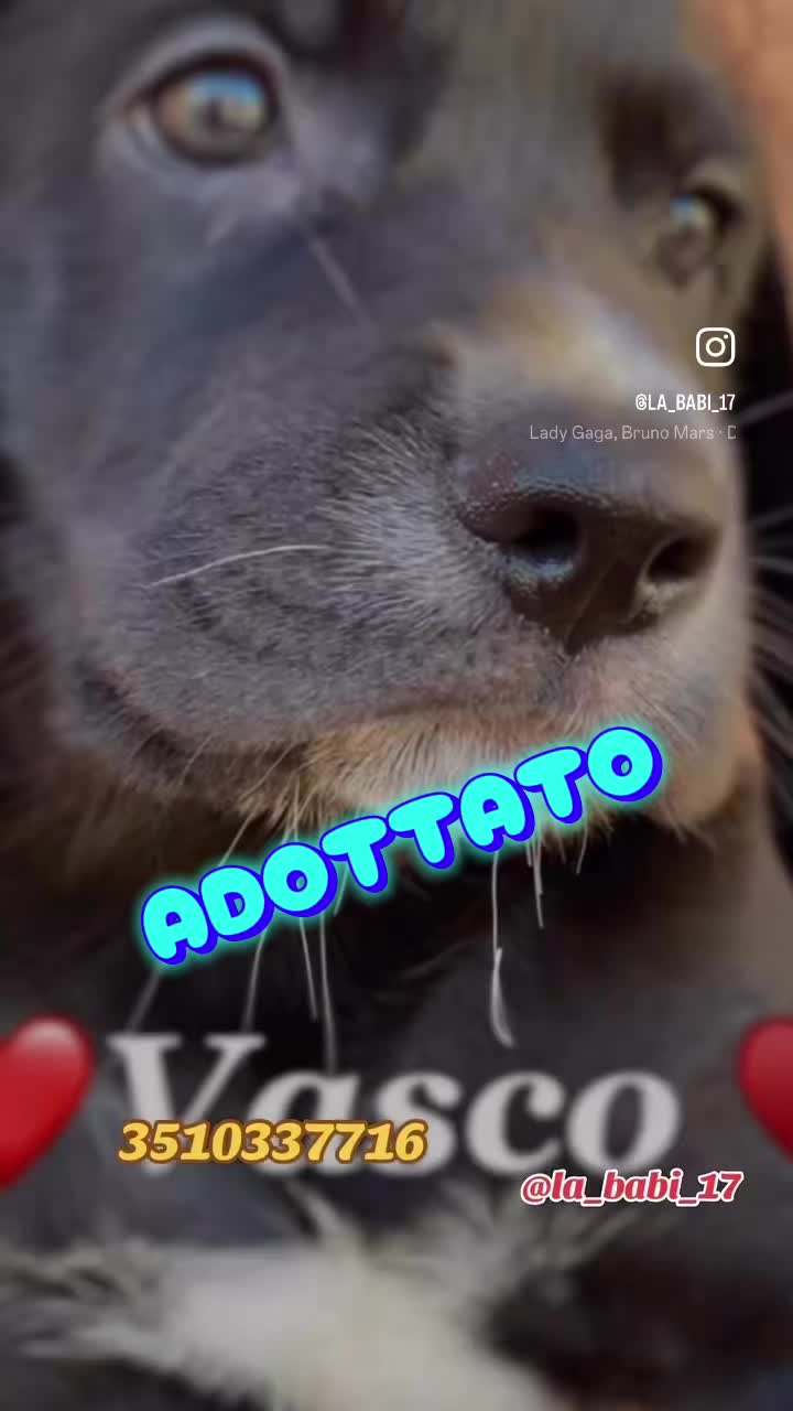 @la_babi_17