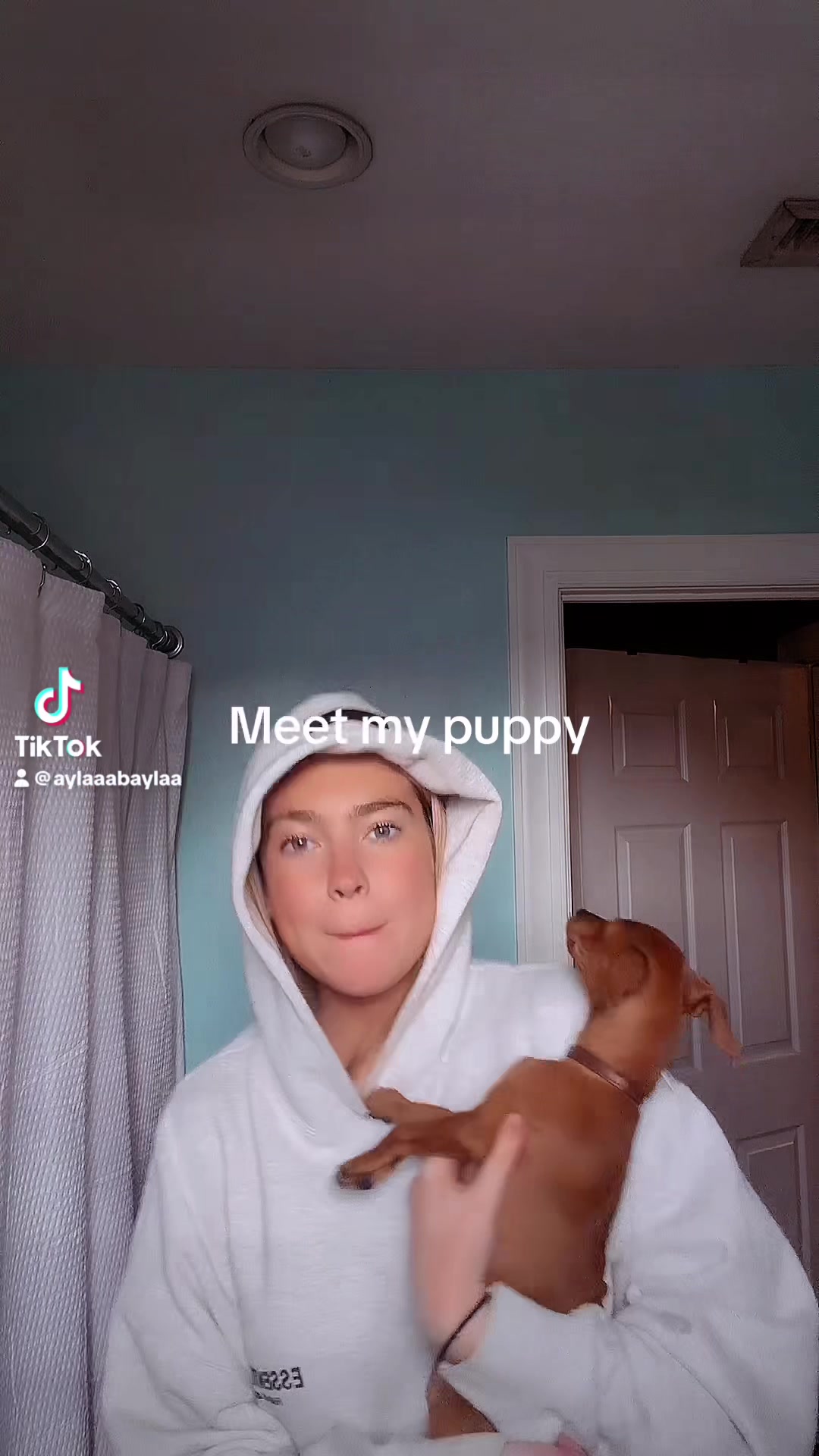 @ayla💐🤠🤍