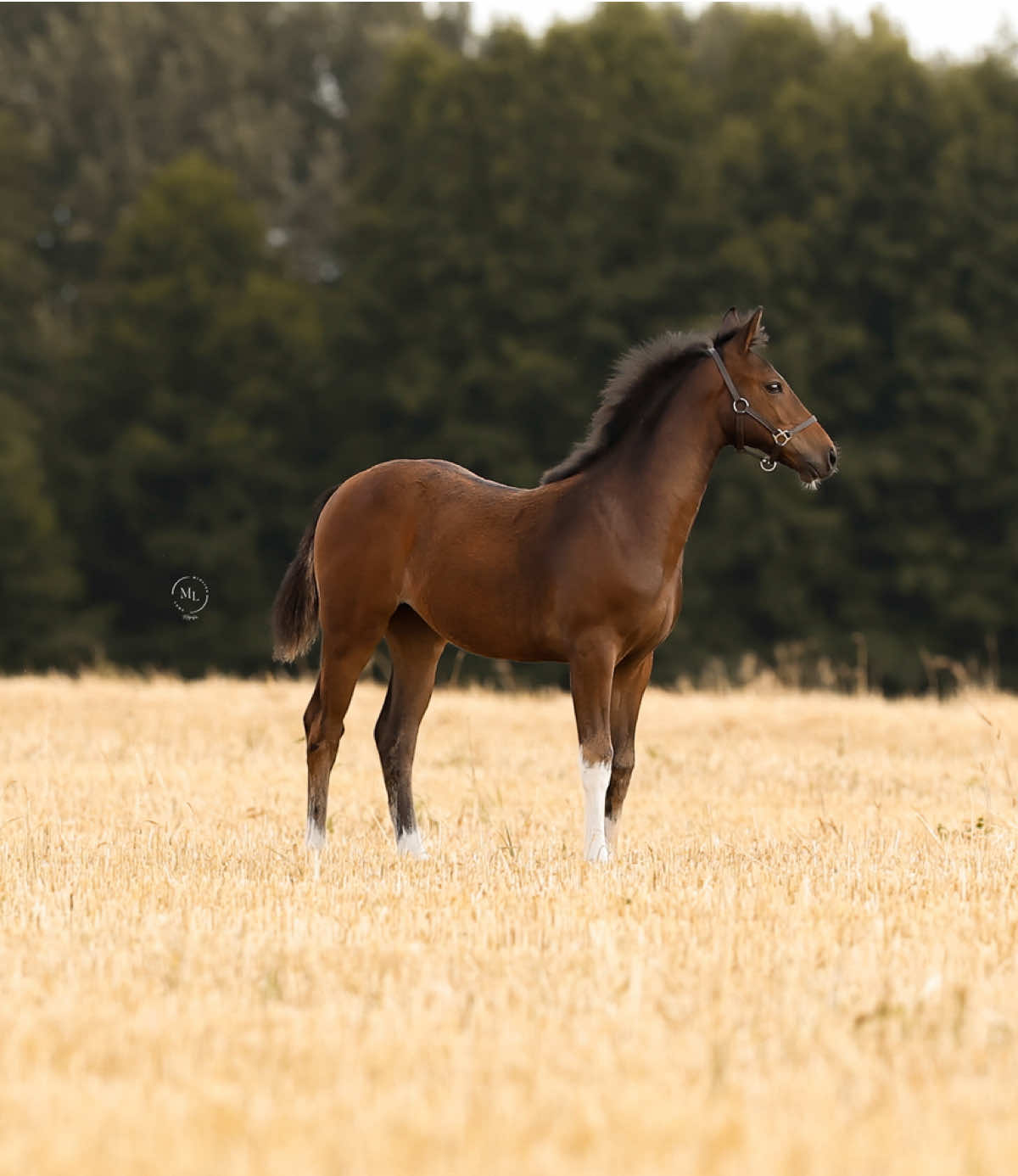 @mialian_lens Fotografie