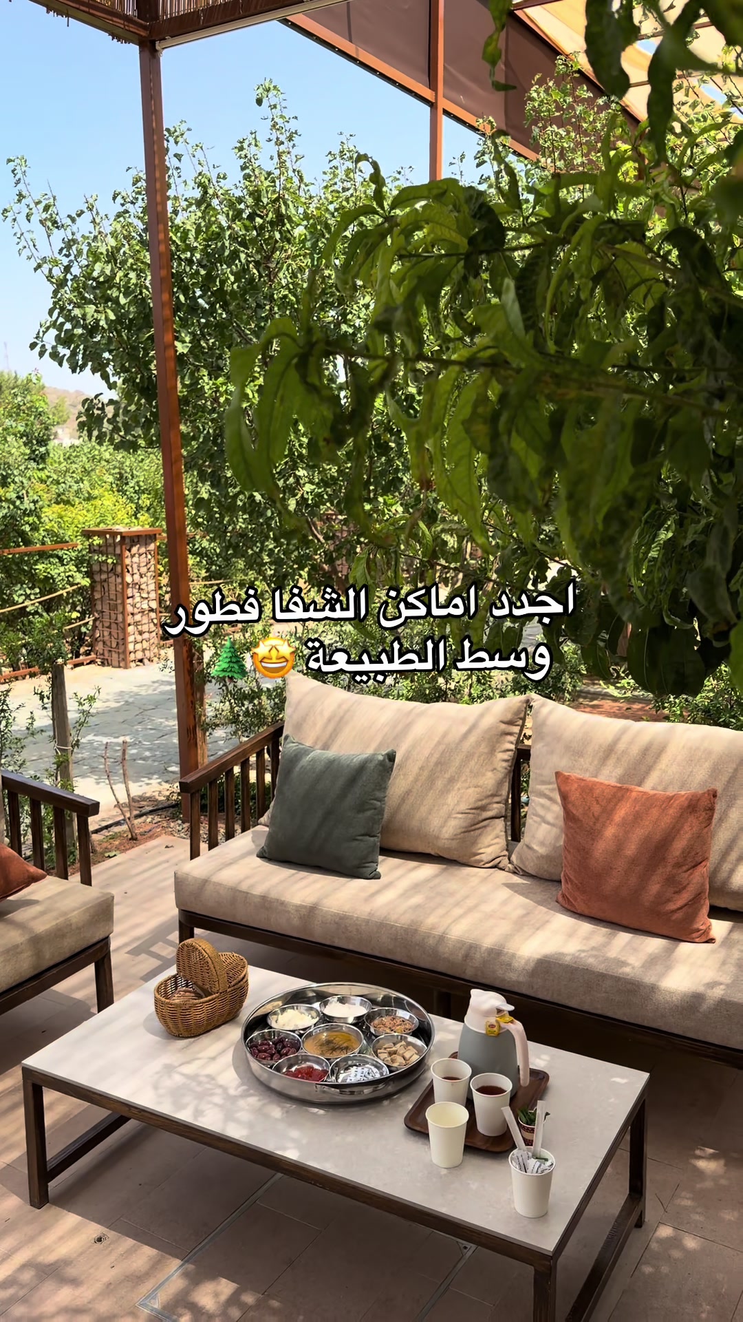 @جديد الطائف 📸