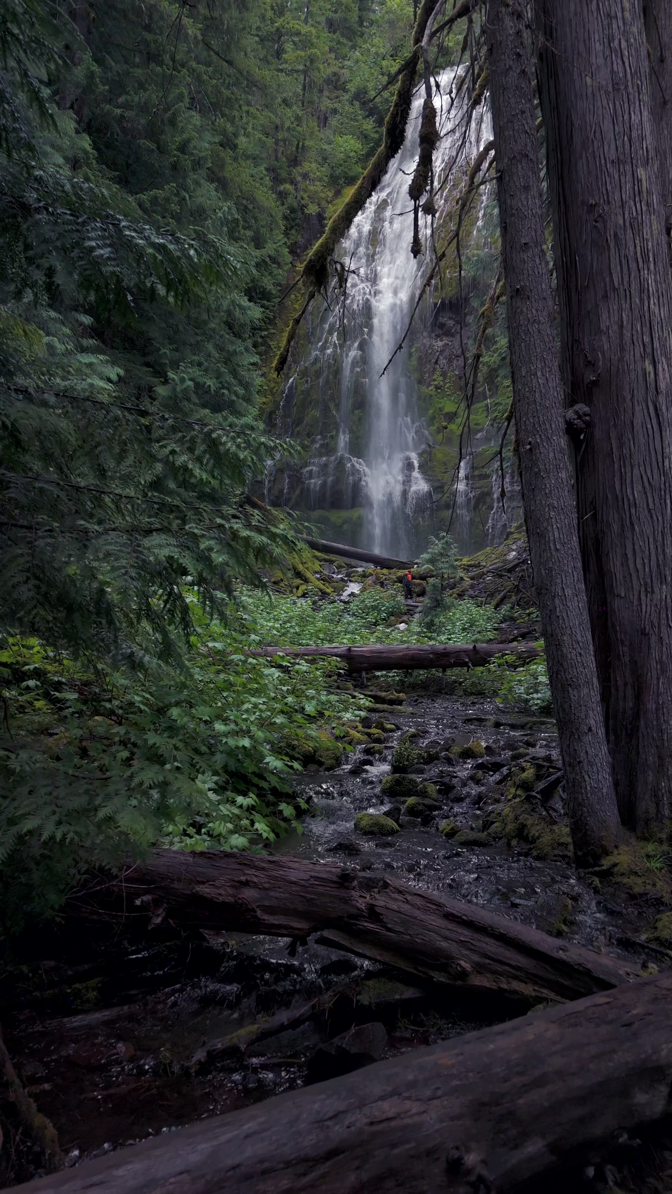 @Badassphotography_PNW