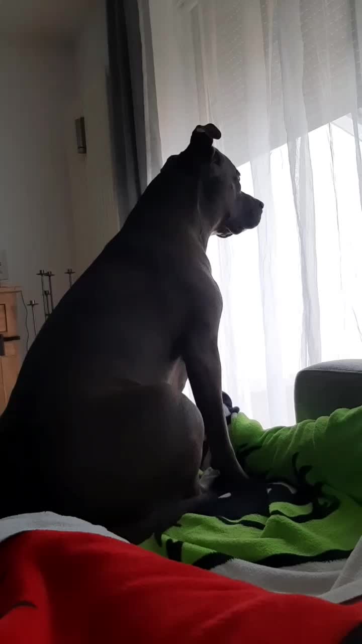 @_mone89_