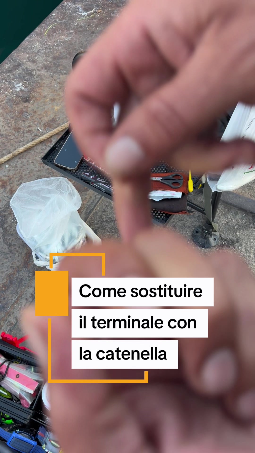 @Luca Meola