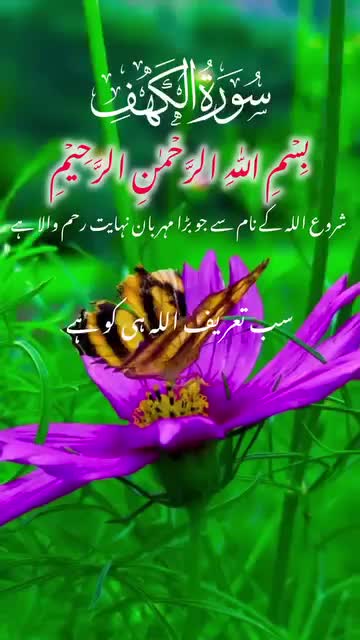 @Love  is Life