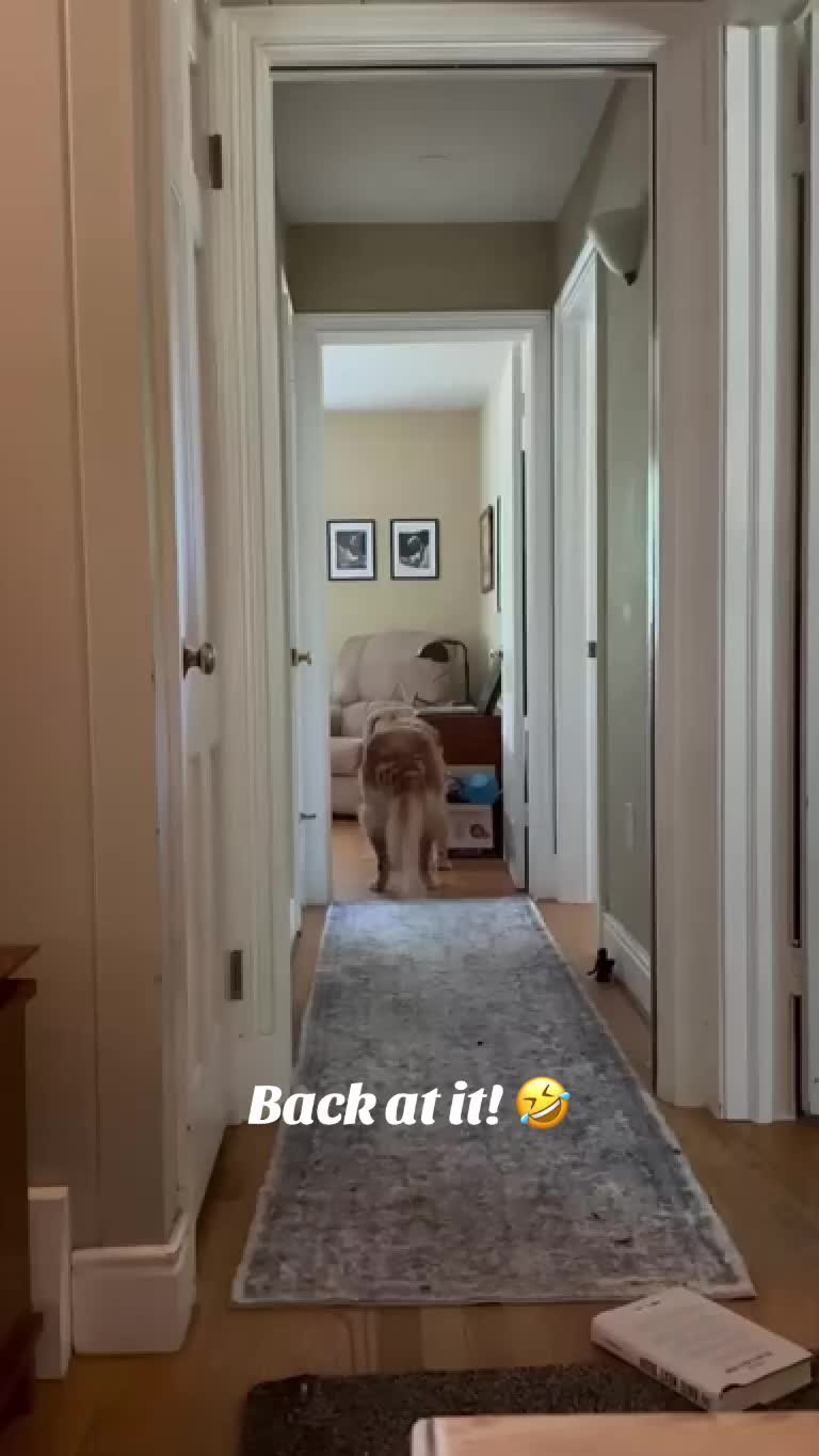 @lifewithduke2025