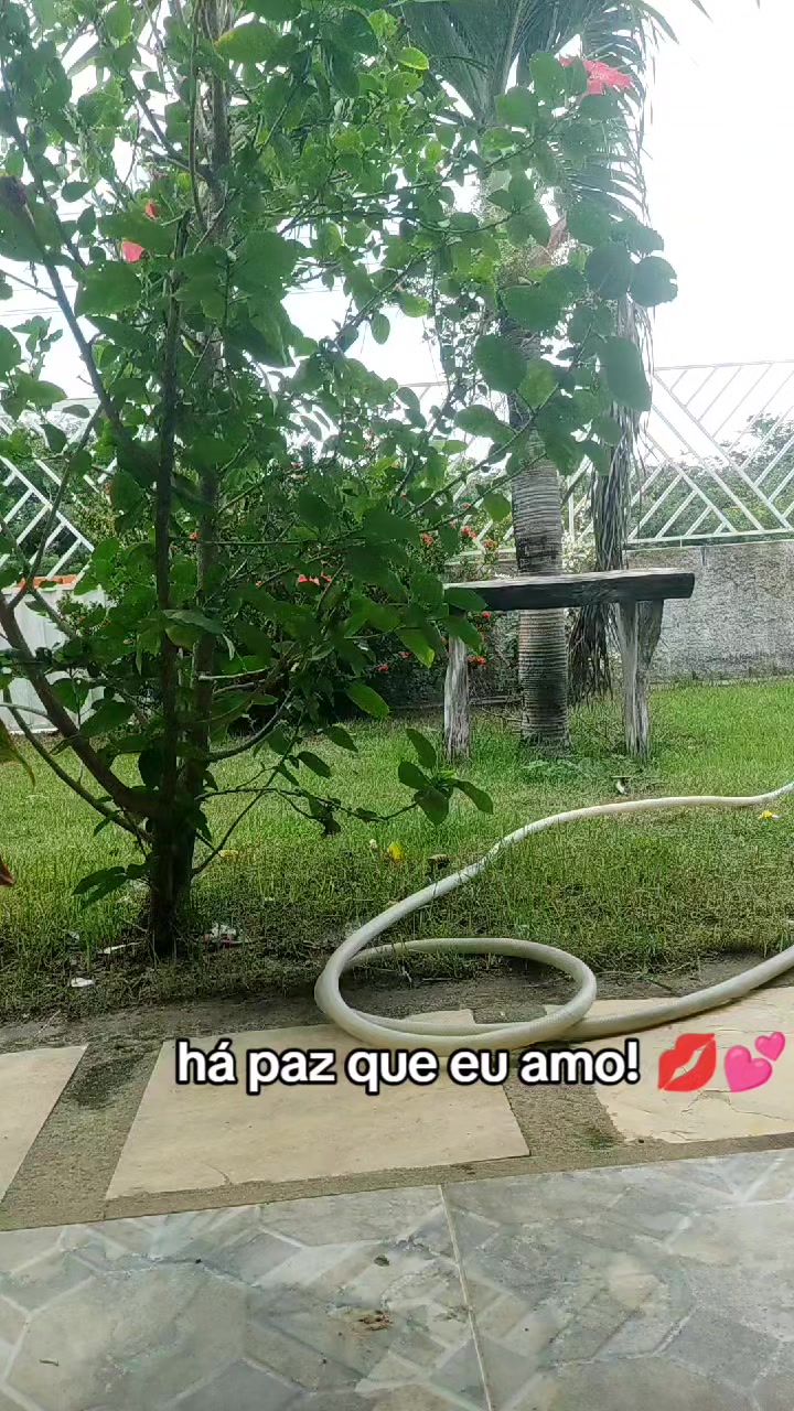 @Derlia Aguiar 💕