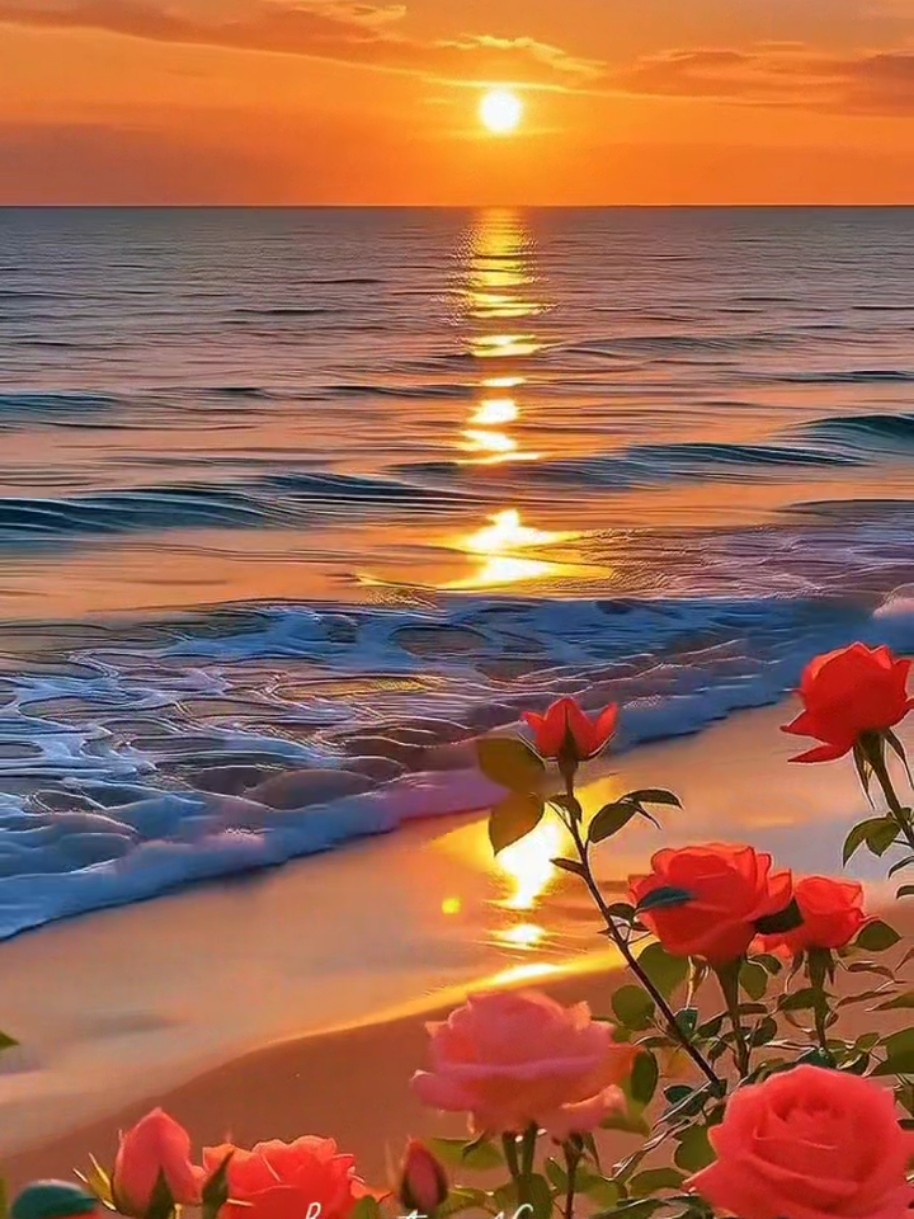 @hayat nereye gidiyor