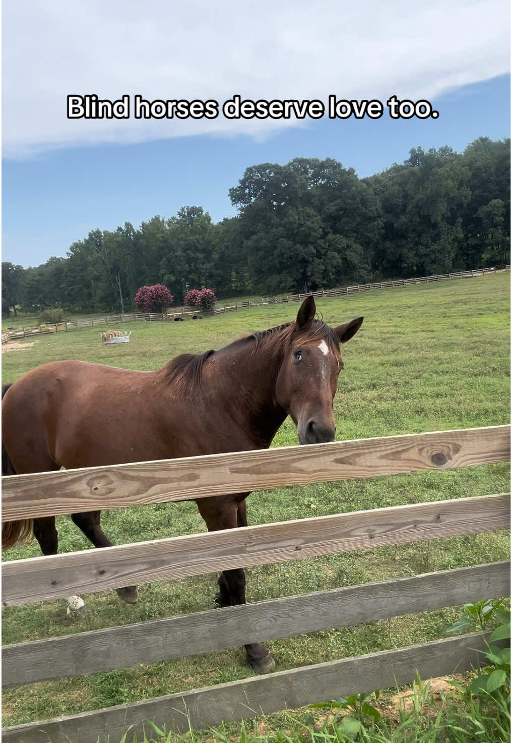 @K.