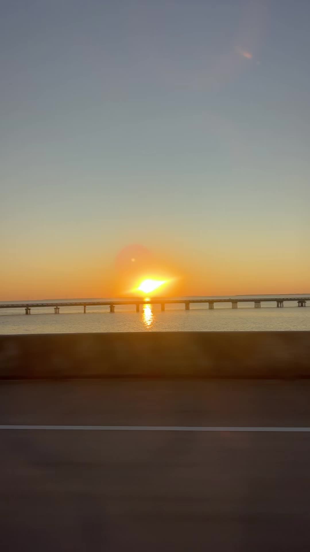 @Carrabelle-Gal🌞