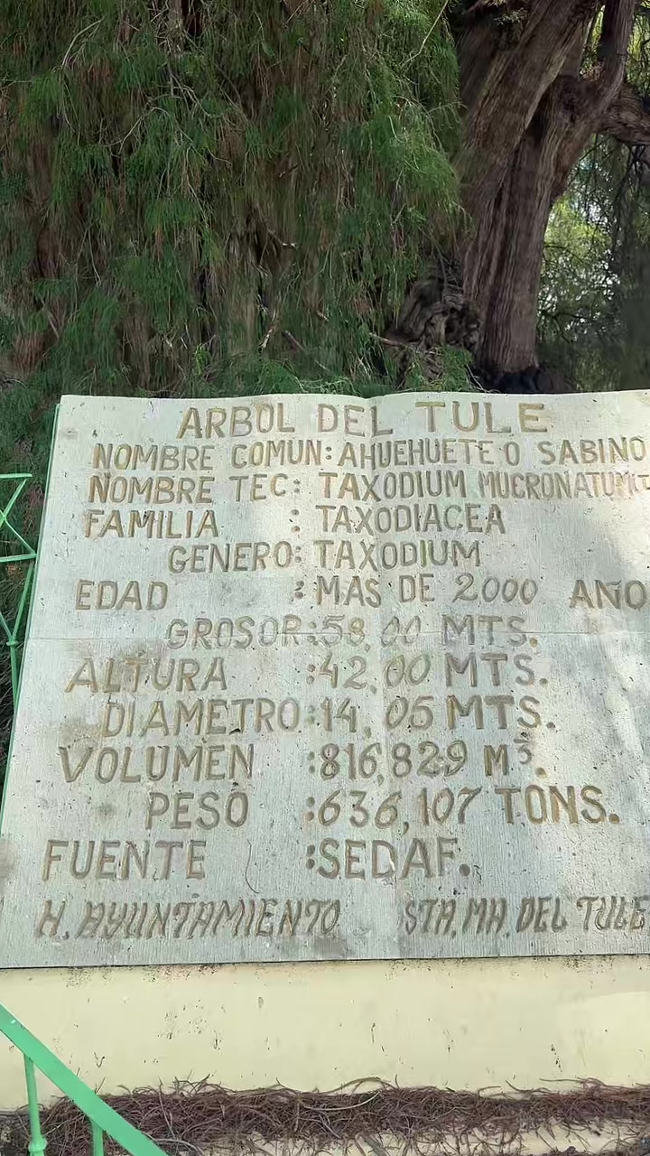 @Patty Tapatía