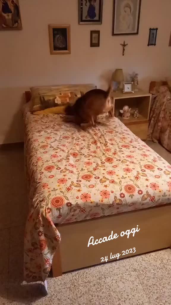 @Benjitoitaliano20