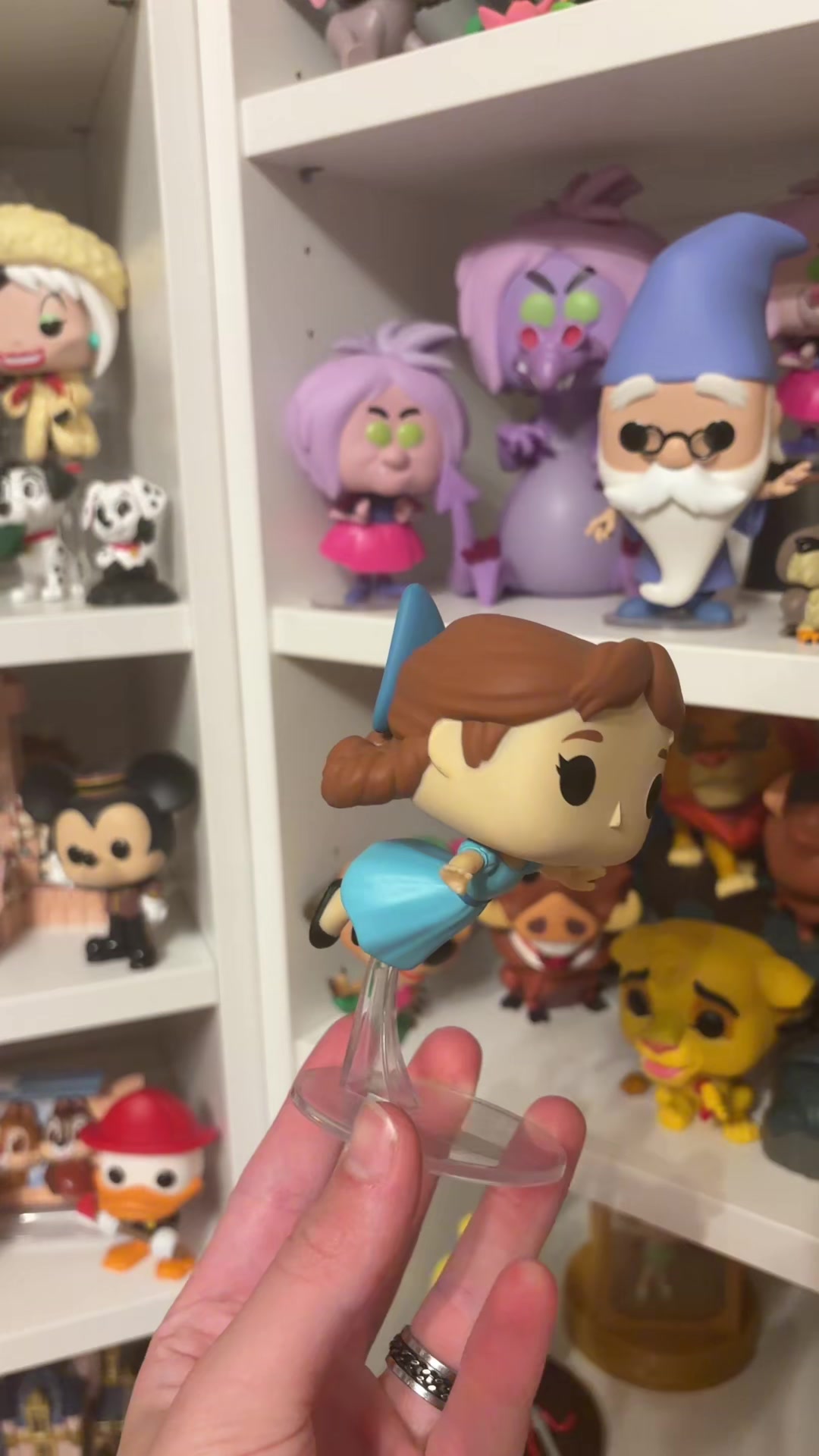 @The Magical Collector ✨️