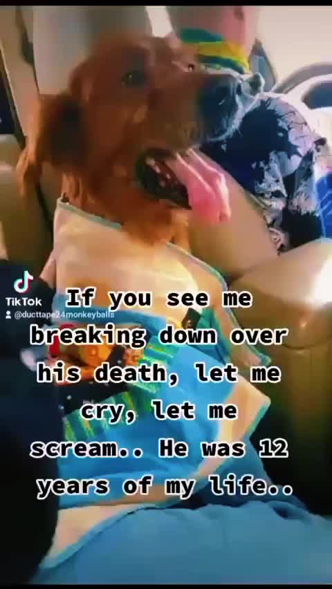 @Lyric