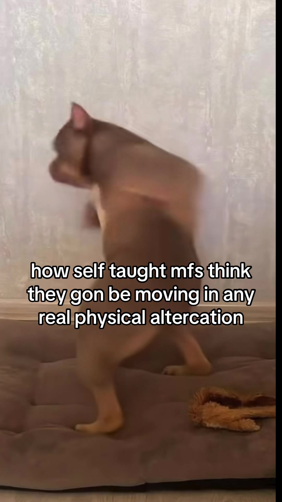 @socrates™️
