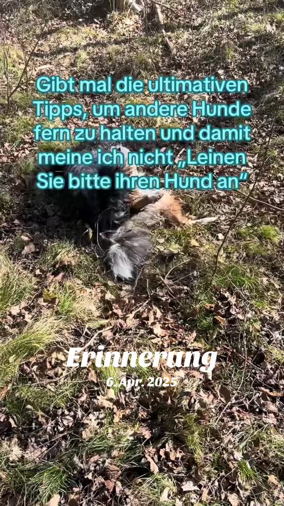 @Lumeja