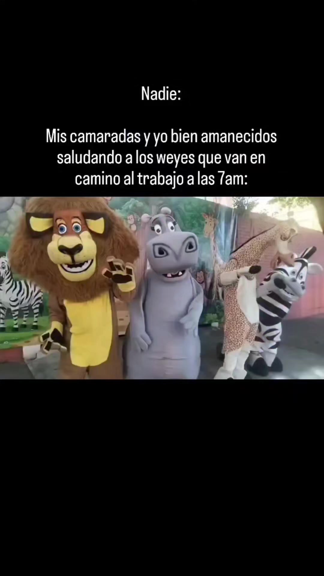 @Memes Del Dazarg⚡️