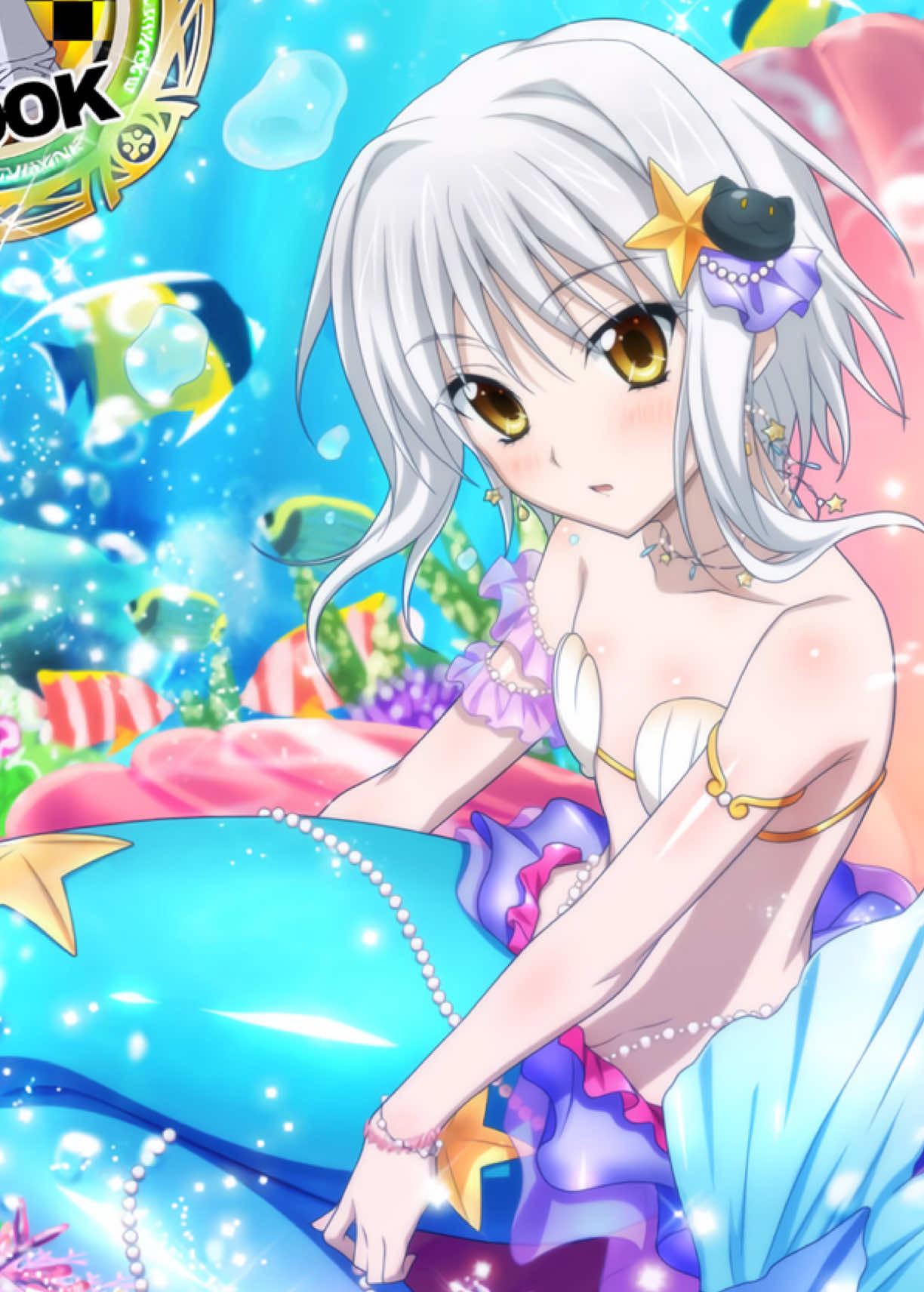 @ꨄ︎₊˚⊹ Charlotte ꕤ*.゚