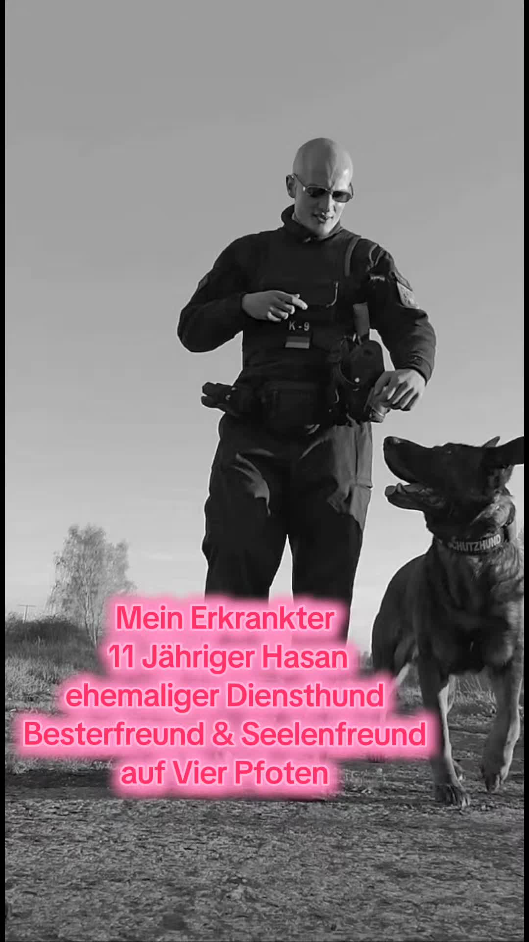 @K9 Palatinus-Unit☑️
