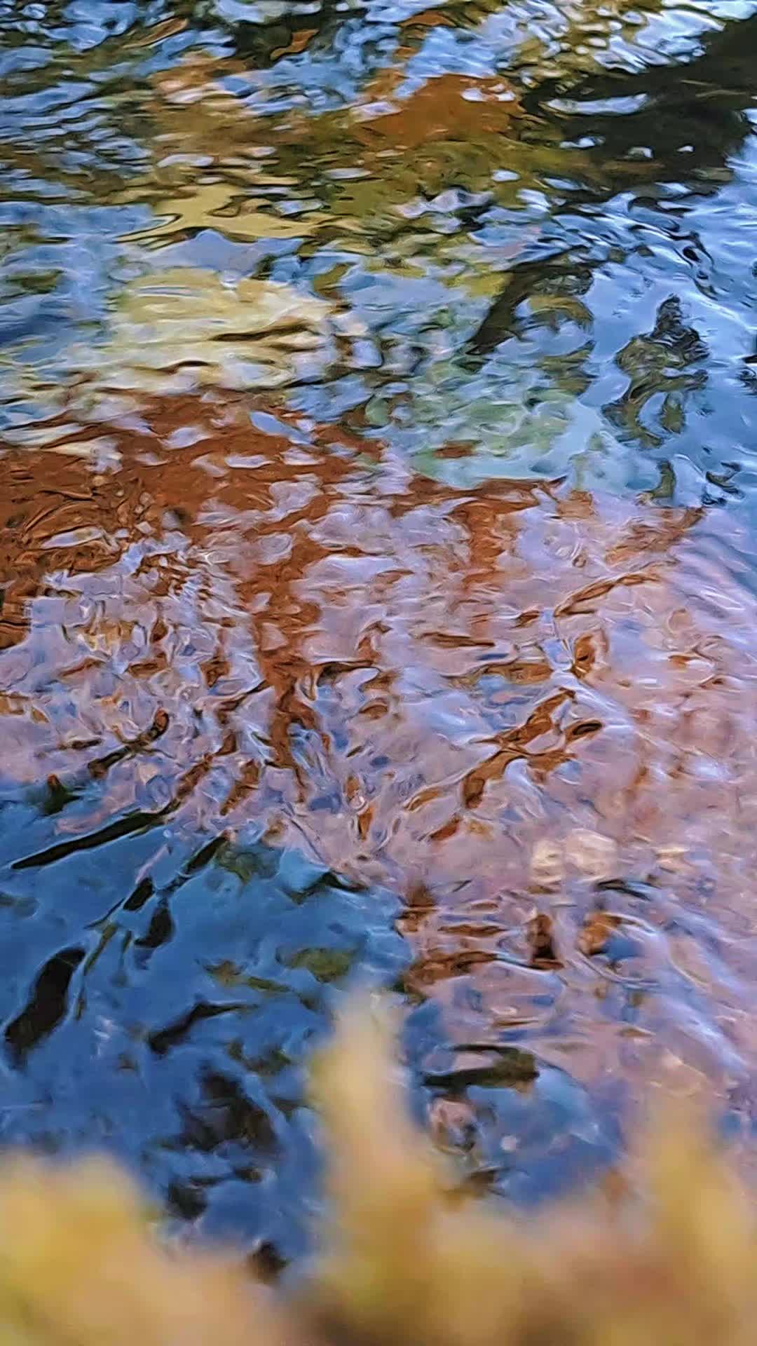 @&bull;☆♡░▒▓█ A&eta;&iota;&sigma;łẸк █▓▒░♡☆&bull;
