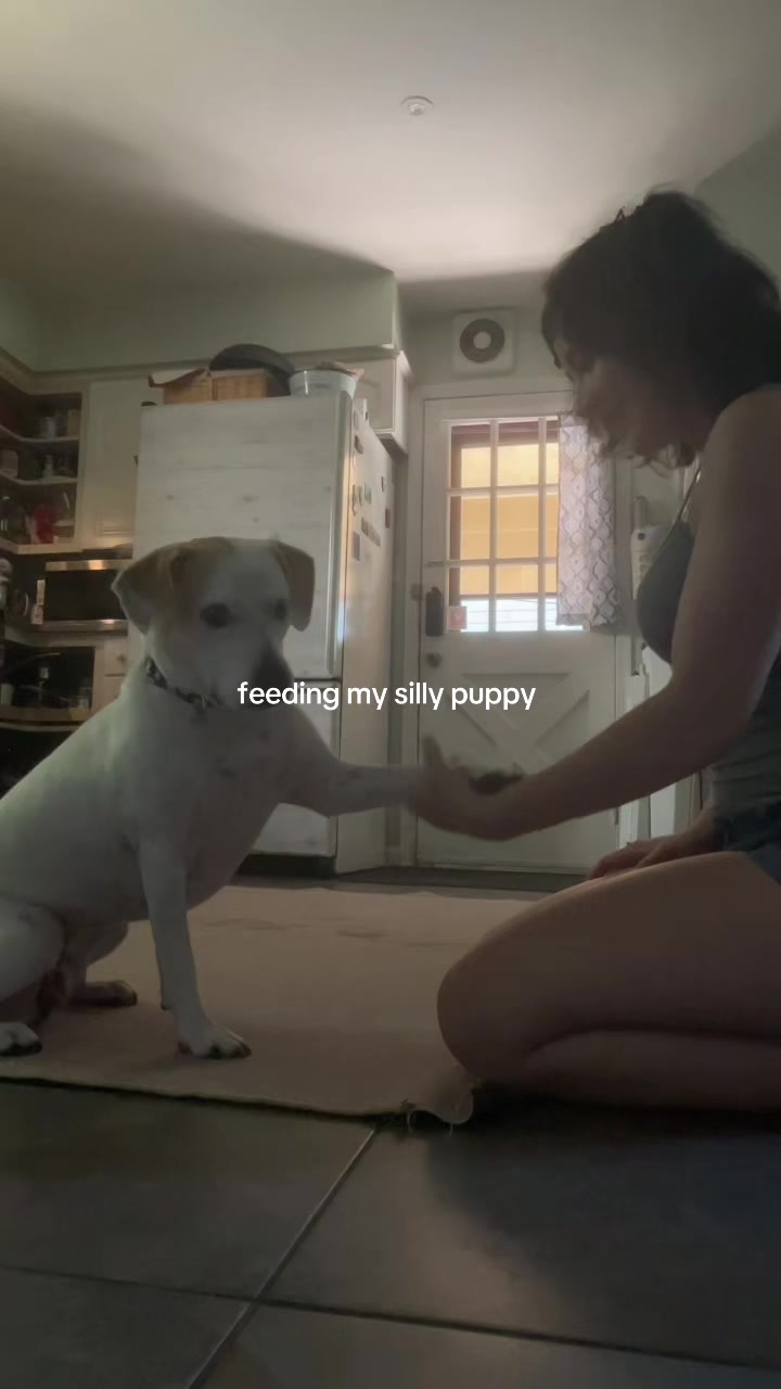@=^.⩊.^=