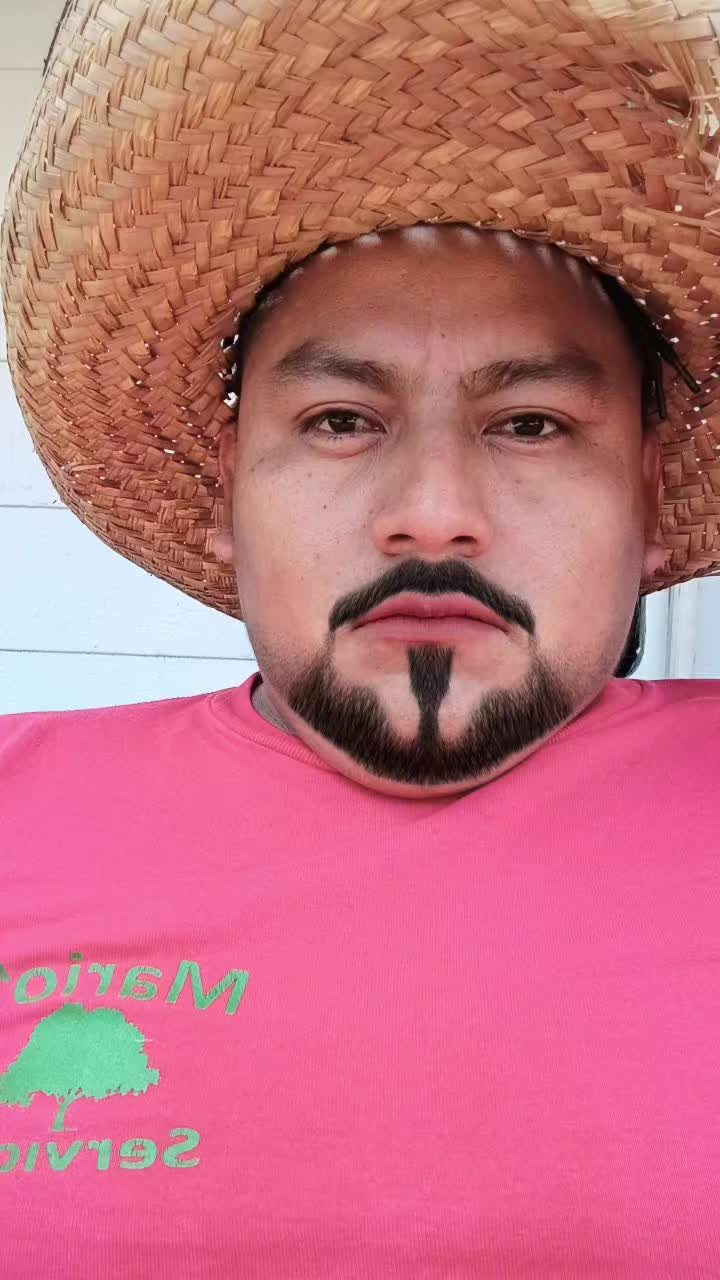 @Mario Landscaping de aurora iL
