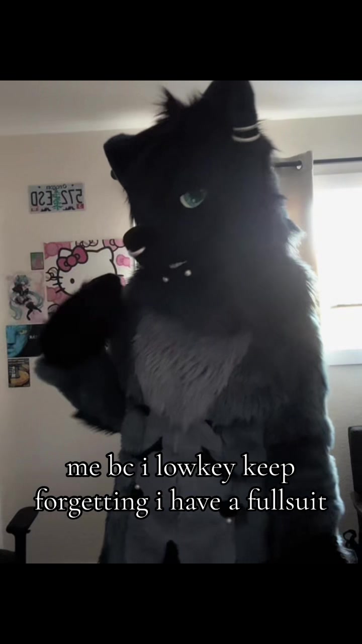 @𝐧𝐨𝐚𝐡 🐾