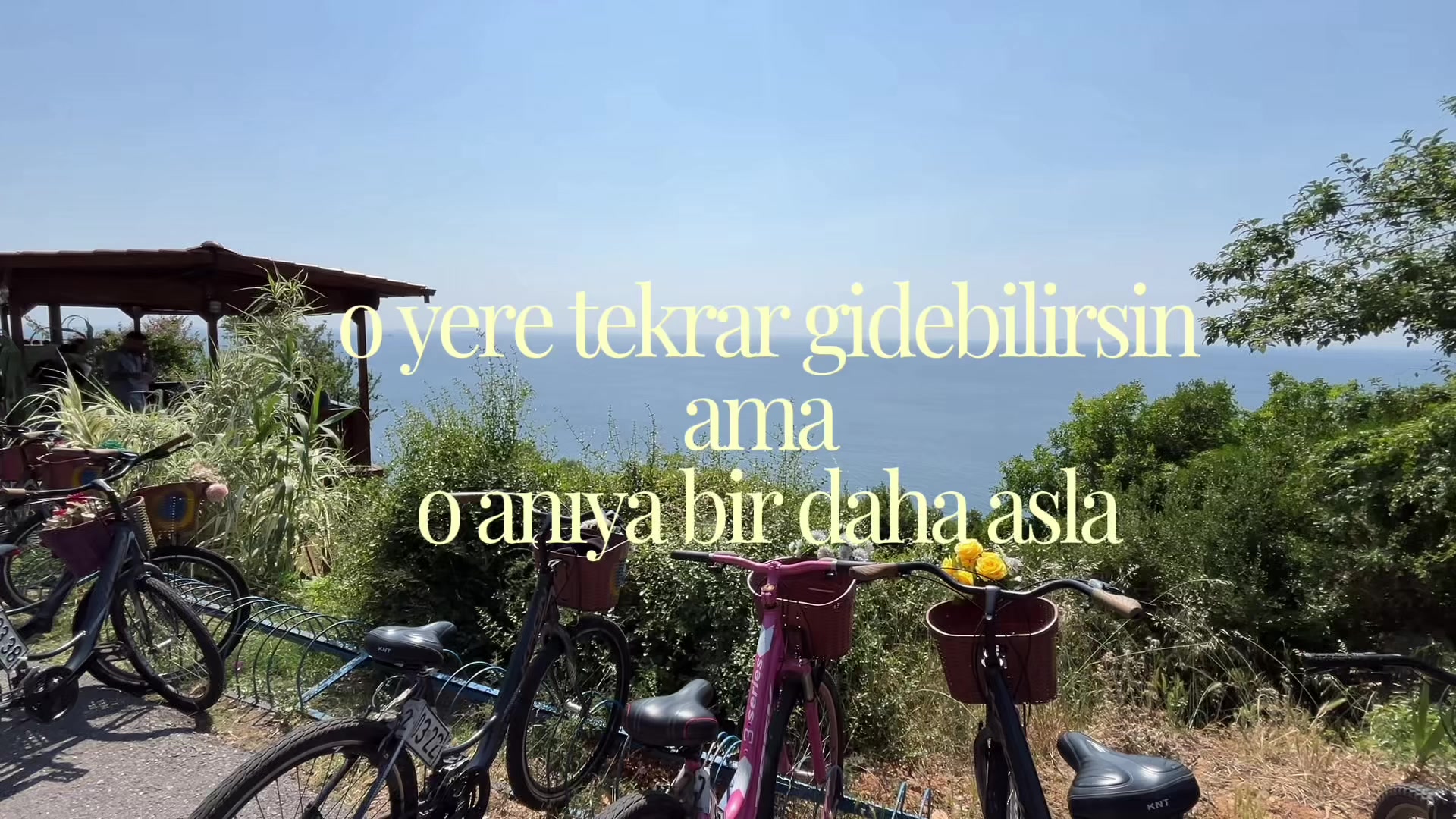 @saitsteaparty