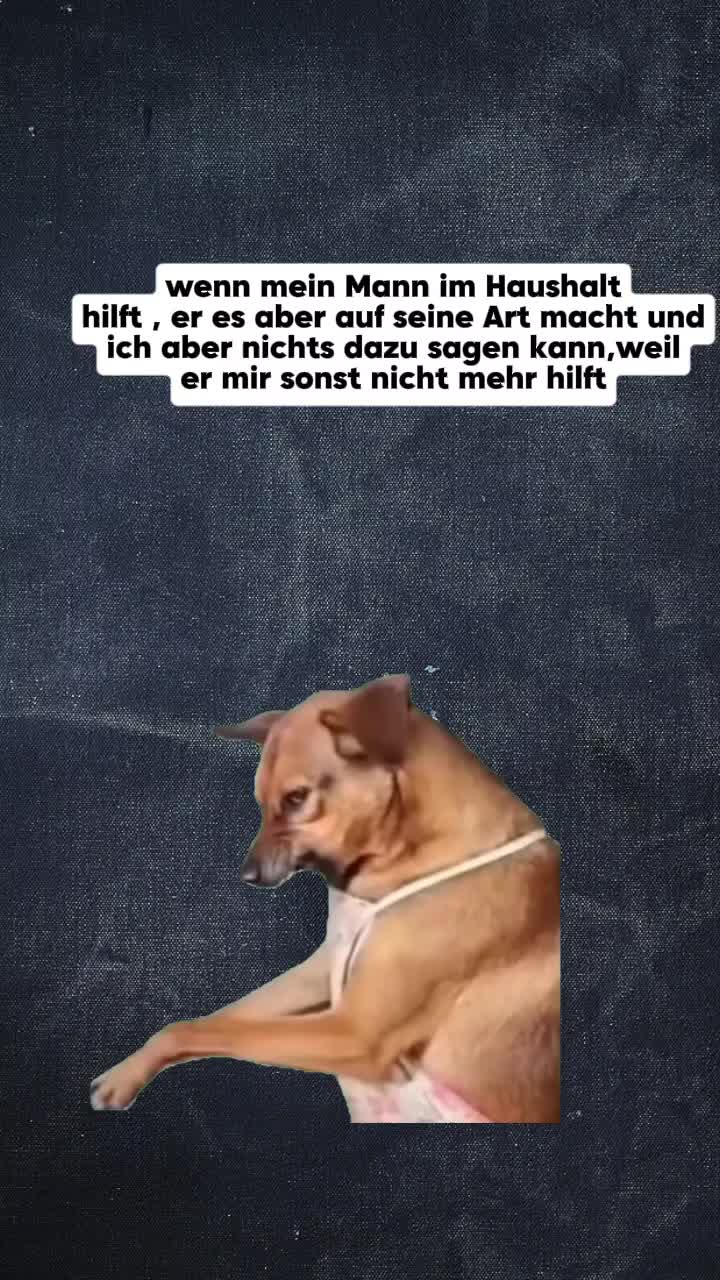 @gino