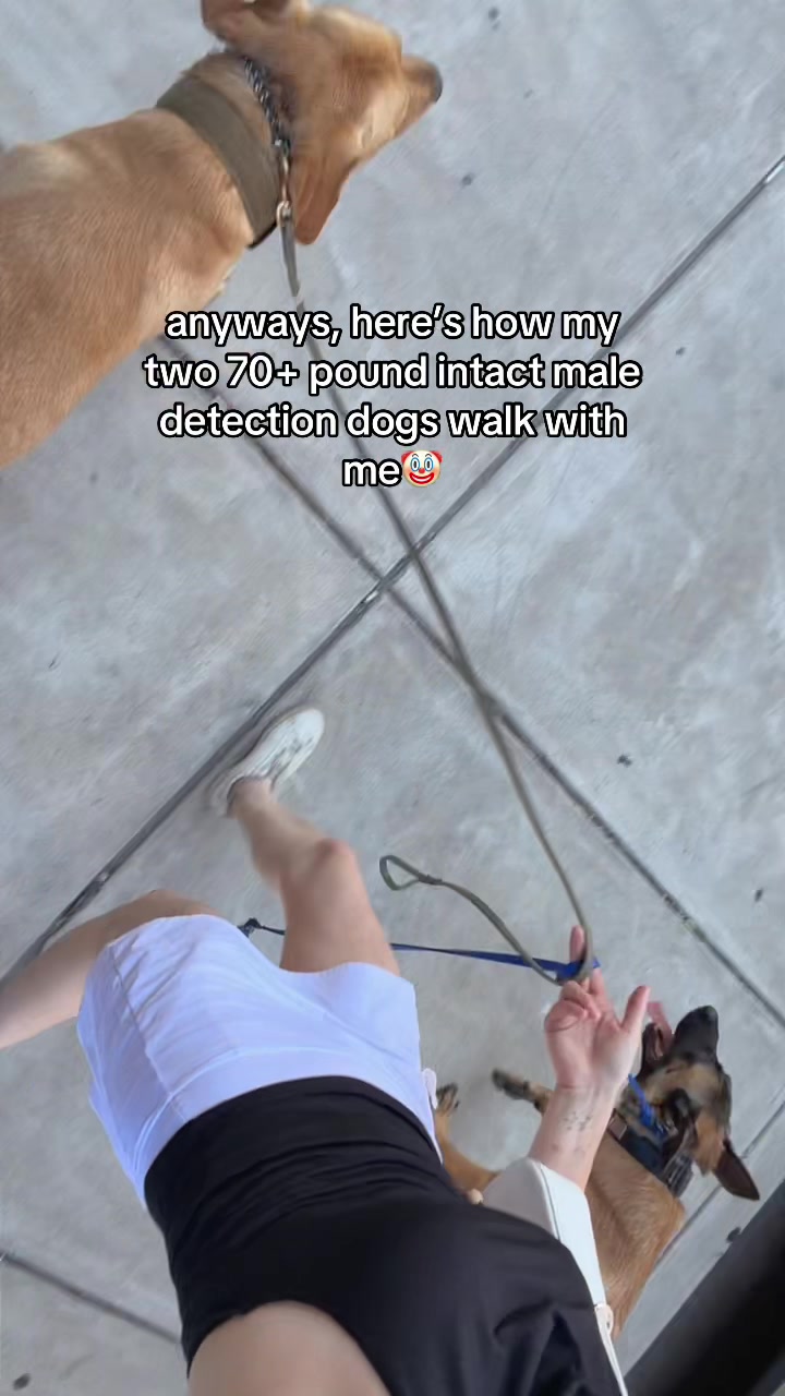 @K9 Obi-Wan, Ahsoka & Rex