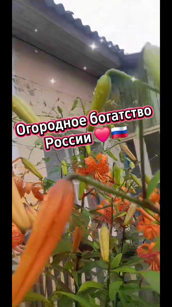 @Valentina