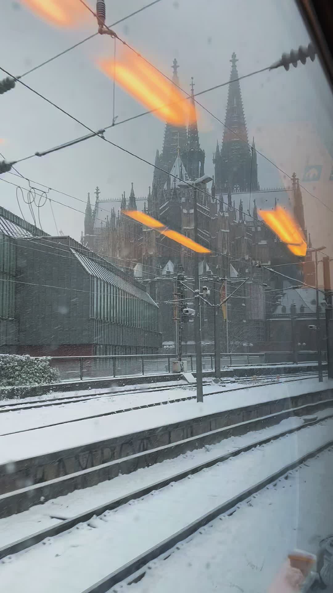 @lbrahim🇪🇬🇩🇪K&ouml;ln