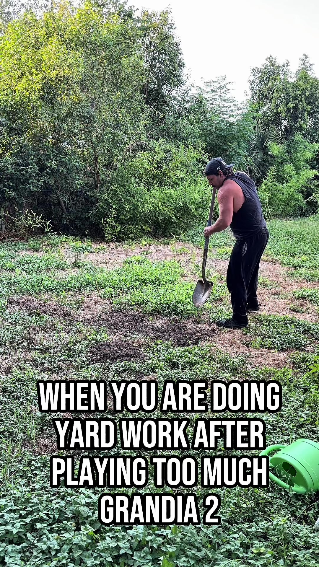 @Sephist