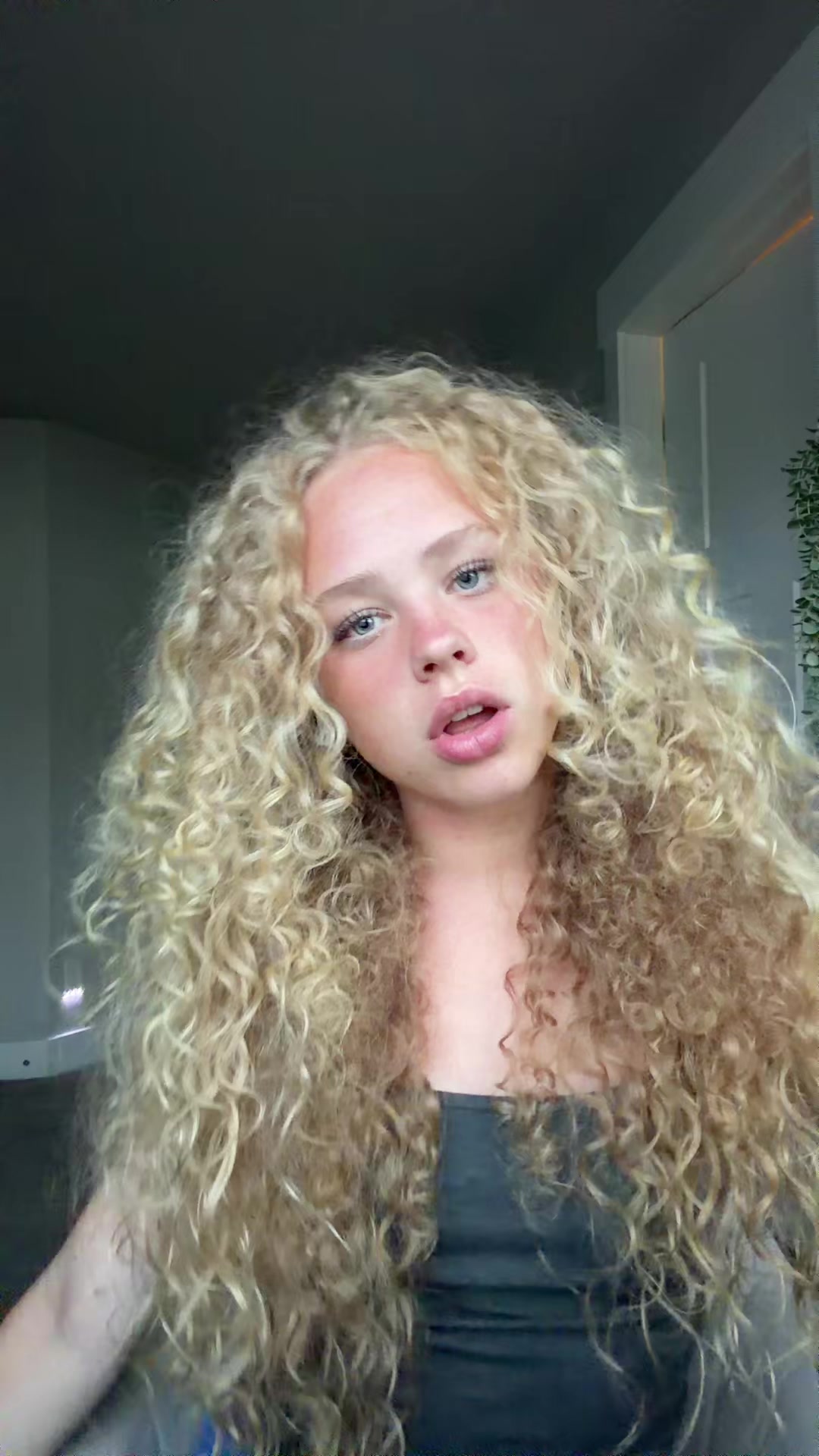 @wren.alexa